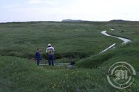 L'Anse aux Meadows