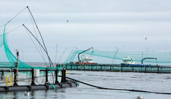 Ísland brotlegt við EES-reglur