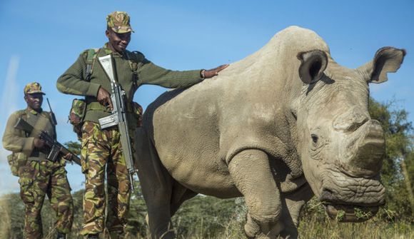 Sudan er sjúkur