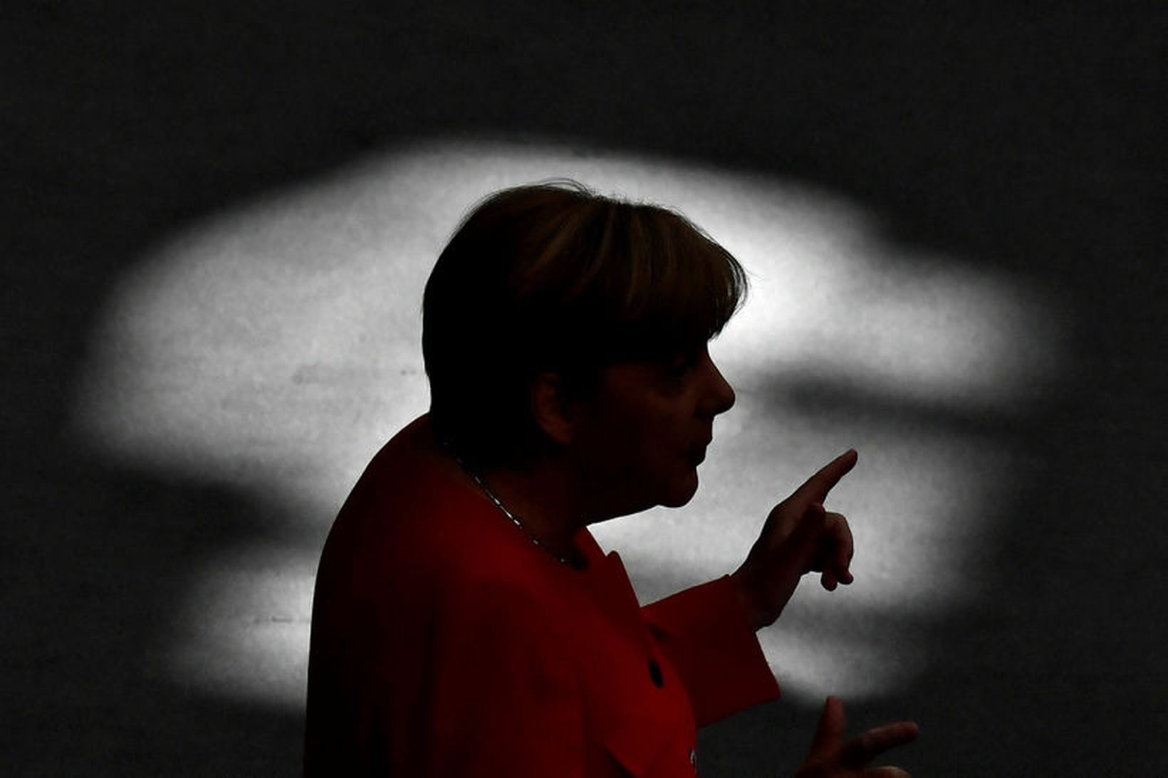 Meðal fórn­ar­lamba er Ang­ela Merkel, kansl­ari Þýska­lands, og aðrir stjórn­mála­menn.