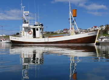 Sylvía ÞH