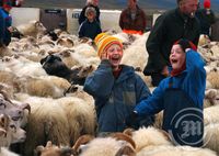 Víðidalstungurétt í Húnaþingi vestra