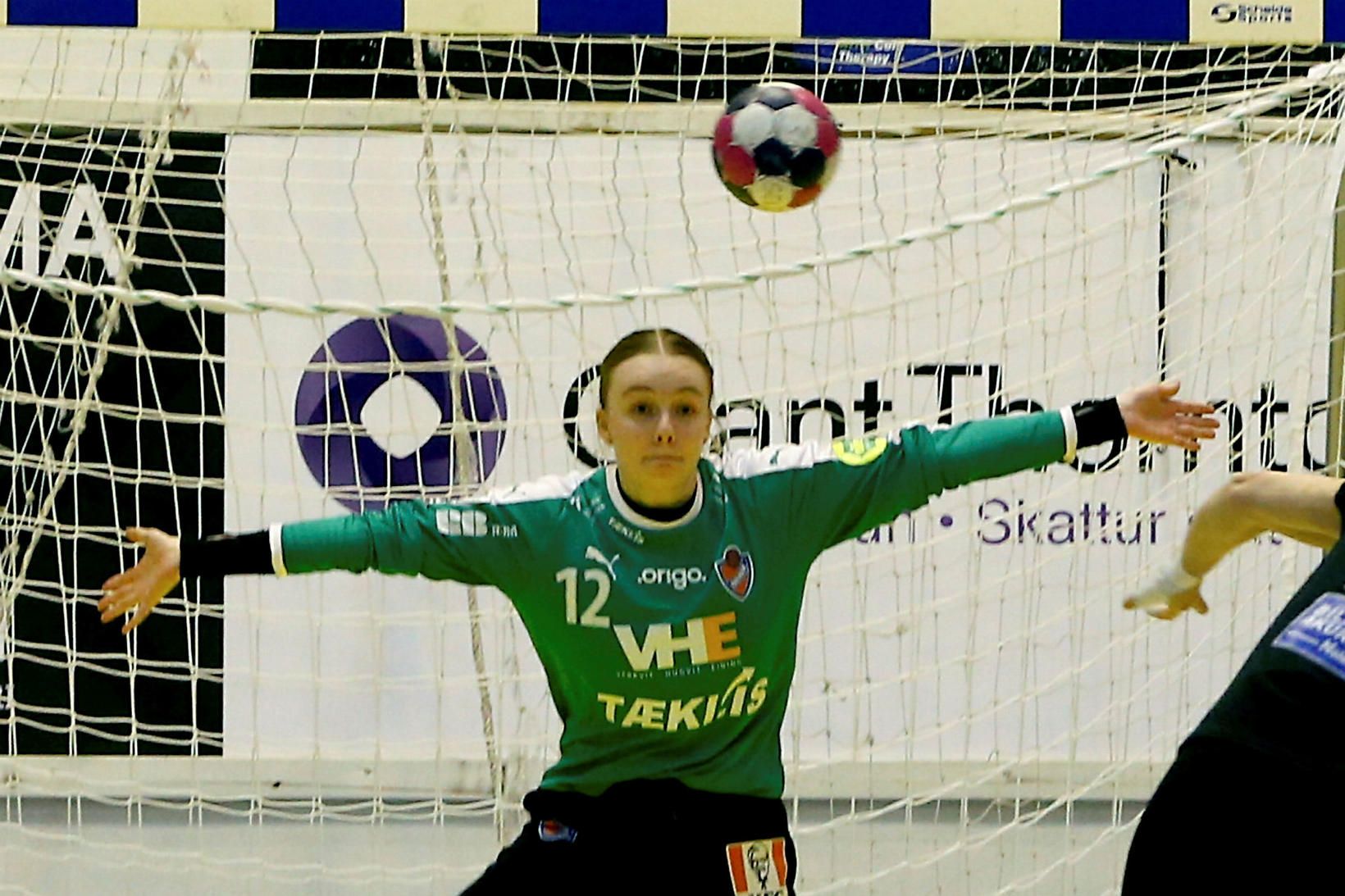 Silja Arngrímsdóttir Müller í marki Hauka fyrir nokkrum árum.