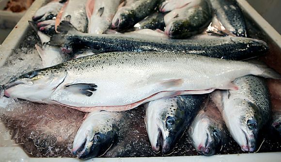 Seldu lax á innlendum markaði í fyrsta sinn