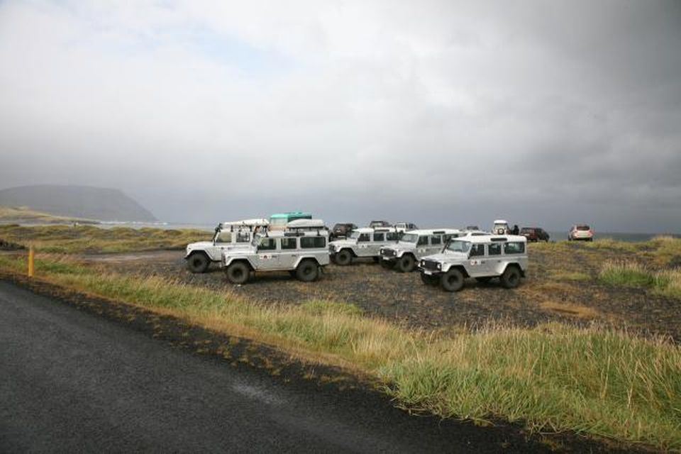 Fjölmargir ferðamenn fylgdust með hvalskurðinum í morgun