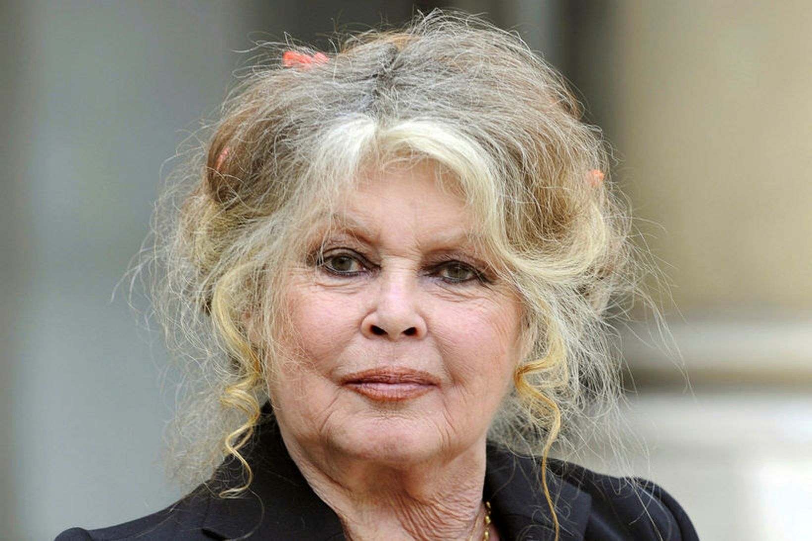 Brigitte Bardot situr ekki á skoðunum sínum.