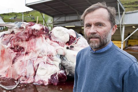 Kristján Loftsson, director of whaling company  Hvalur hf.