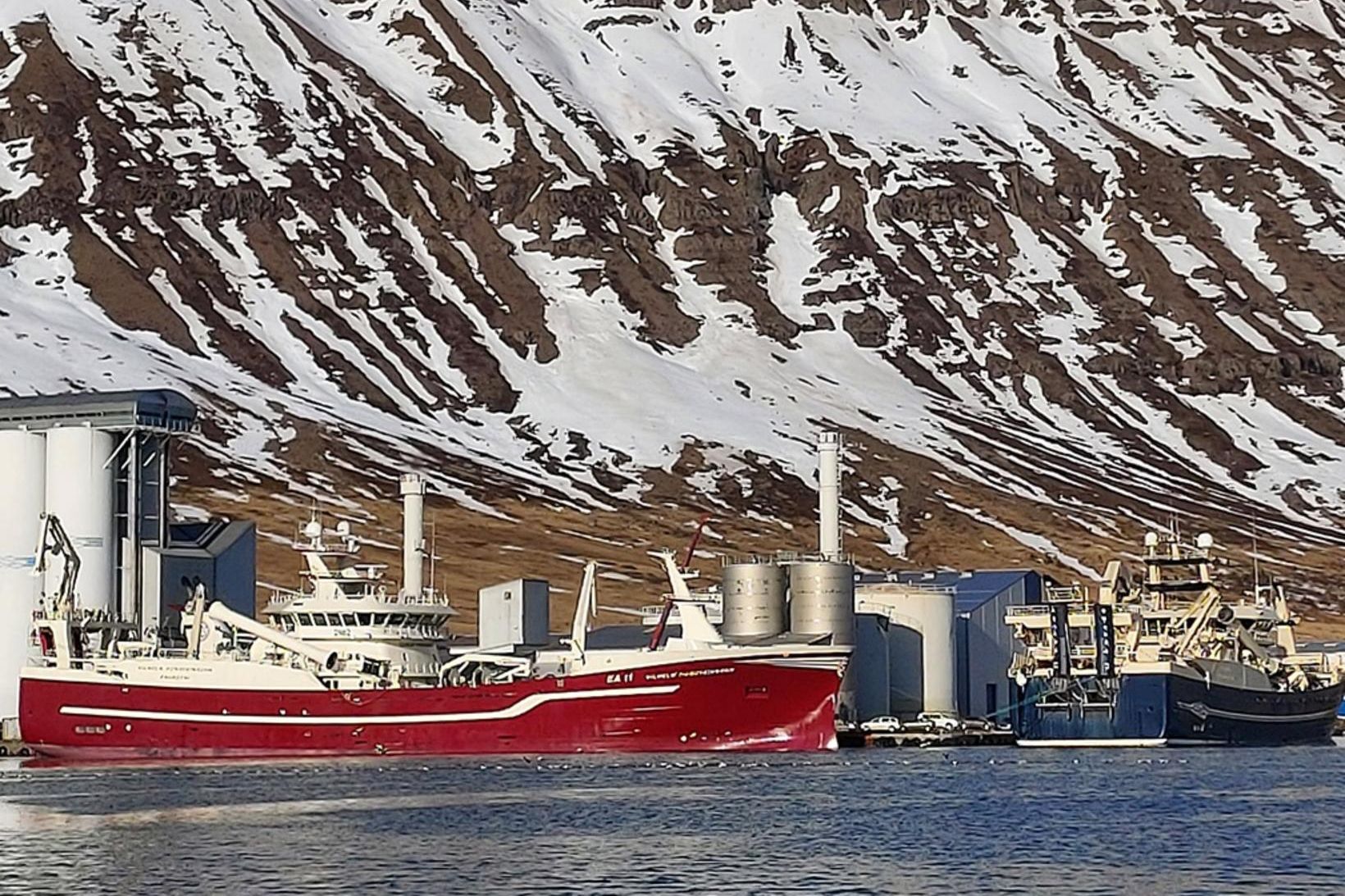 Kolmunna landað úr Vilhelm Þorsteinssyni EA. Börkur NK bíður löndunar.