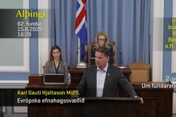Karl Gauti Hjaltason sá mikið eftir því að hafa láðst að bera hálstau í þingsal.
