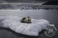 Jökulsárlón á Breiðamerkursandi