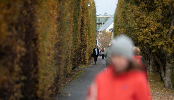 Gerir upp vanrækslu í æsku með sveppaferðalögum