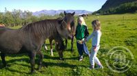 Á ferð um Ísland 2014, Vesturland