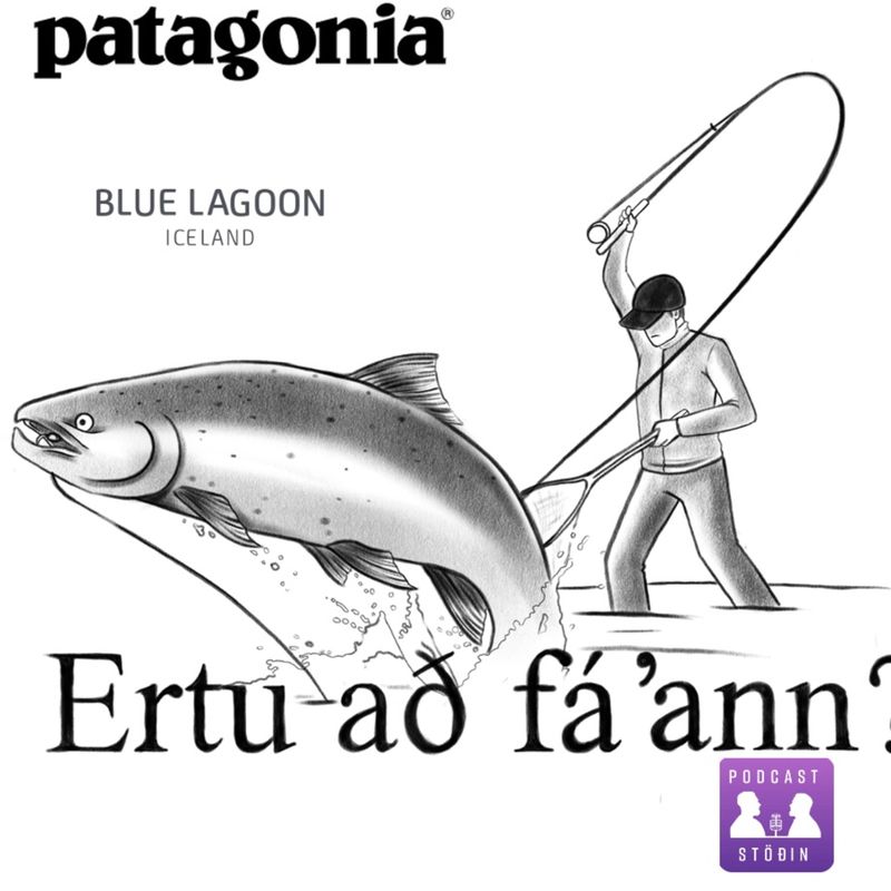 Ertu að fá´ann?