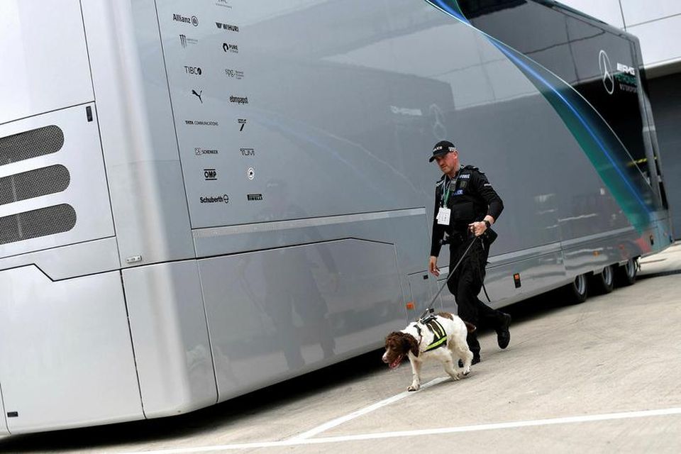 Lögregluhundur við leit að hugsanlega grunsamlegum hlutum á athafnasvæðu liðanna að tjaldabaki í Silverstone.