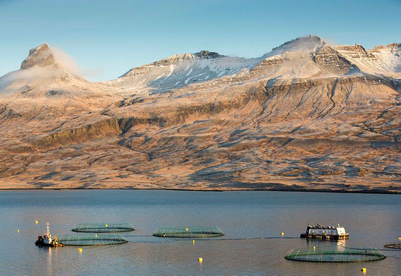 News Tagged with “Salmon Fishing” - Iceland Monitor