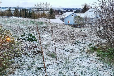 Elliðavatn had the white blanket over the green grass at 5 o'clock this morning which soon melted.