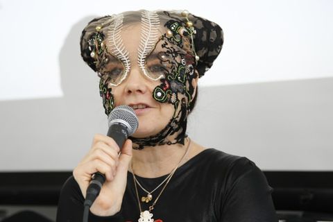 Björk says Iceland has a deadline and harshly criticizes the Icelandic Government for destroying Iceland's nature.