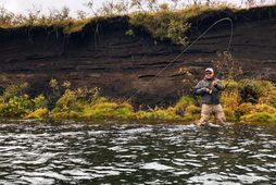 Sjö buðu í Tungufljót í Vestur Skaftafellssýslu. Tilboðin voru samtals fimmtán því margir lögðu einnig …