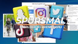 Inga Sæland grefur sig djúpt ofan í jörð