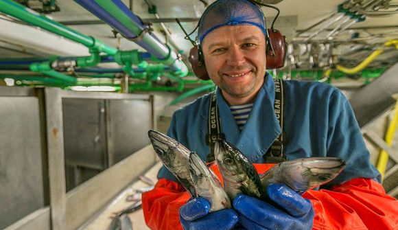 Margir þættir hafa áhrif í makríldeilu