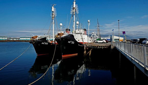 MAST stöðvar veiðar um borð í Hval 8
