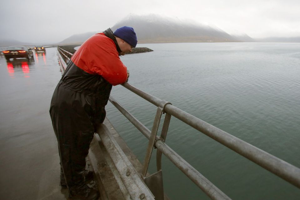 Starfsmaður Hafrannsóknarstofnunar fylgist með síldinni.