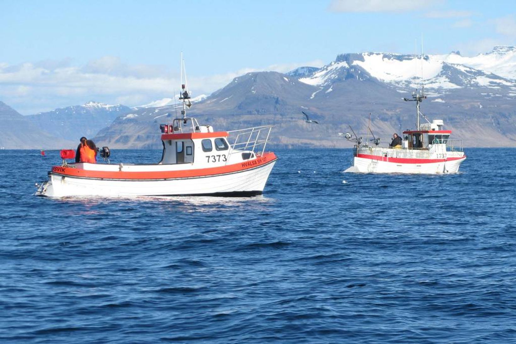 Ríkisstjórnin vill tvöfalda strandveiði á kostnað annarra.