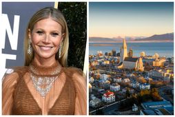 Leikkonan Gwyneth Paltrow er stofnandi lífsstílsvefsins Goop.