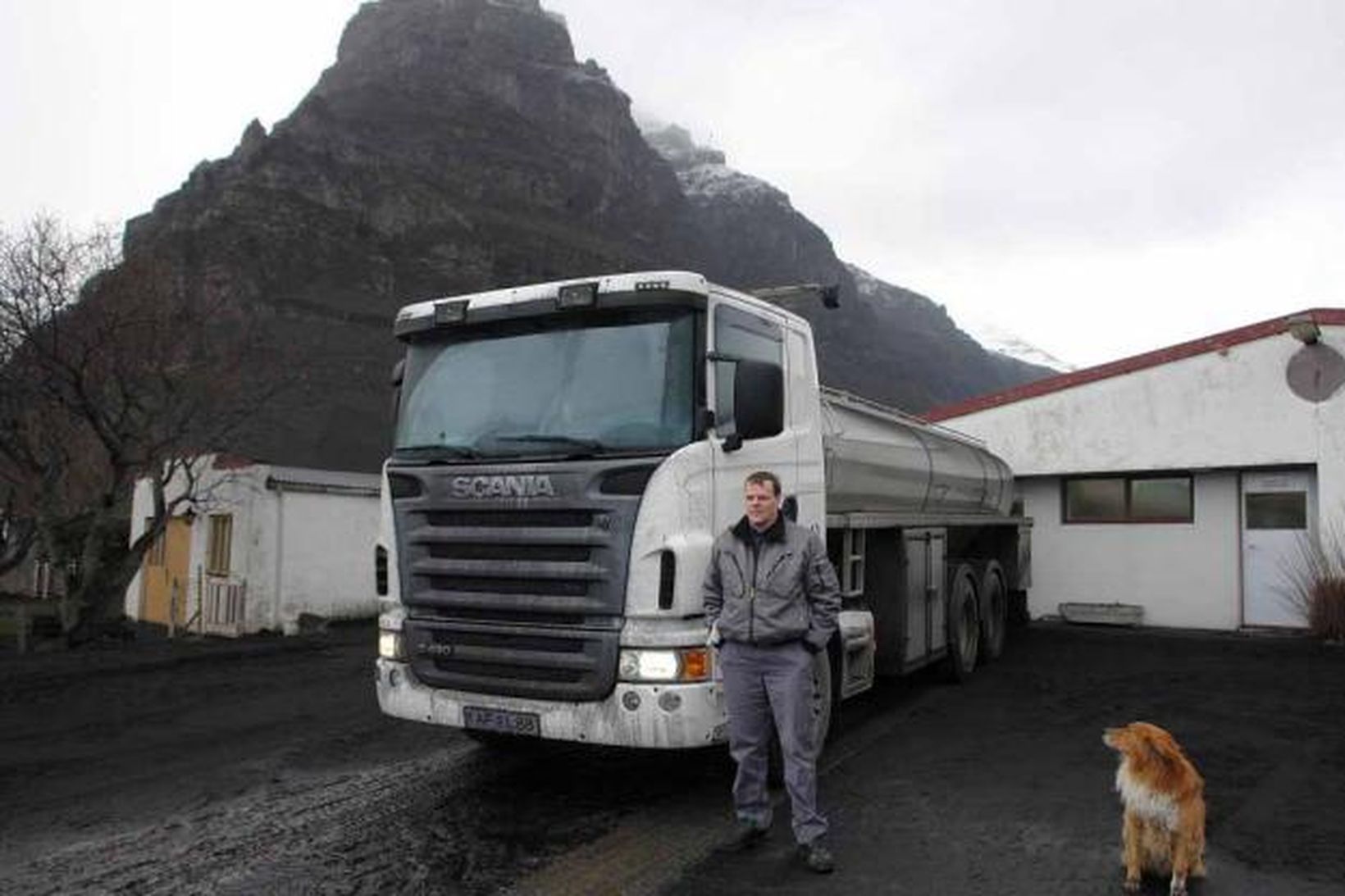 Svartir öskutaumar voru á mjólkurbílnum þegar mjólkin var sótt á …