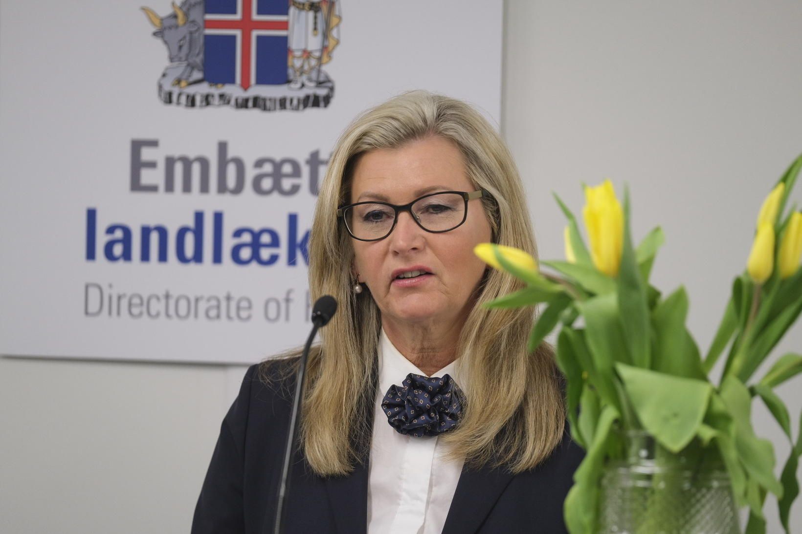 Alma D. Möller landlæknir.