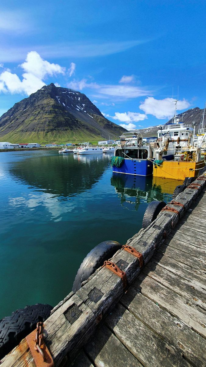 The use of fish skin in Iceland attracts attention in France