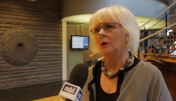 Afstaða til ESB mikilvæg 