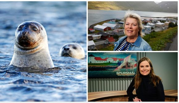 Dreymdi sjö seli: Katrín verður forseti