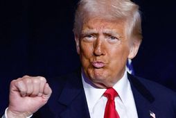 Það myndi m.a. bitna á Kanada og Brasilíu ef Trump hækkaði tolla á timbur.