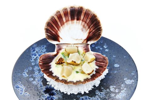 Icelandic scallop with smoked butter.