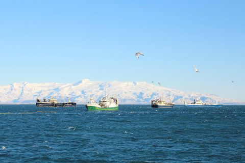 Íslensku loðnuskipin fá mögulega loðnukvóta Norðmanna.