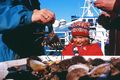 Veisla Krabbar, ígulker og fleira gott hefur verið tekið í plóginn í eyjasiglingunum. Með því hefur skapast upplifun og farþegar fara glaðir í land.