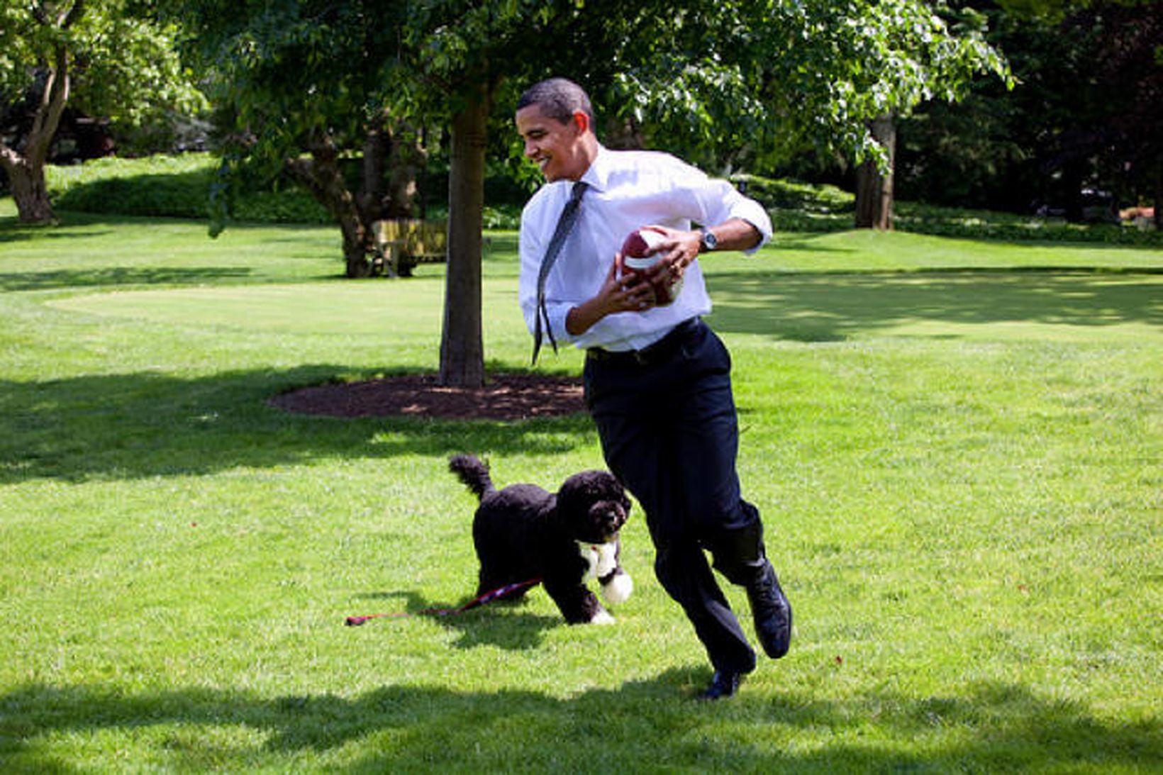 Barack Obama leikur sér við hundinn Bo.