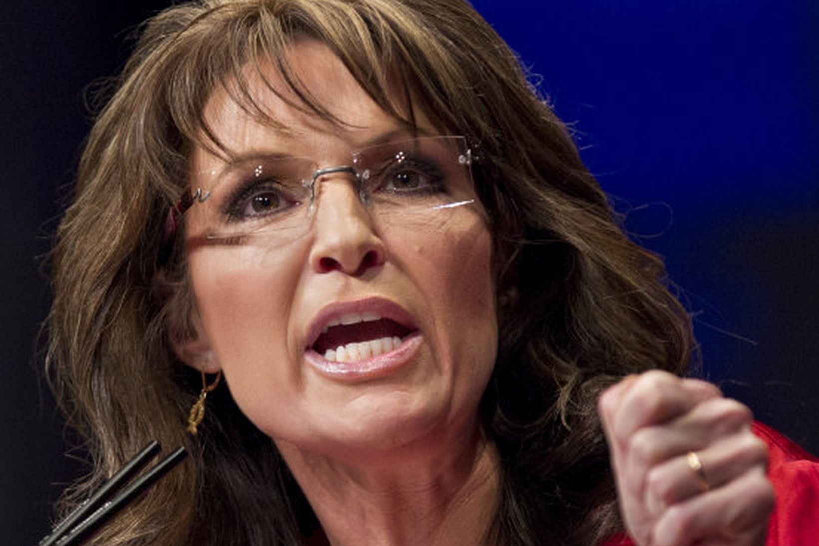 Sara Palin, fyrrum ríkisstjóri Alaska