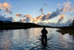 Táknræn mynd af hausti úr Andakílsá. Lokatölur bárust úr ánni í gær og niðurstaðan er …