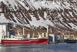 Kolmunna landað úr Vilhelm Þorsteinssyni EA. Börkur NK bíður löndunar.