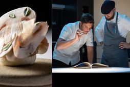 Acquolina-veitingastaðurinn í Róm er með tvær Michelin-stjörnur. Matreiðslumeistarinn Daniele Lippi, sem stýrir eldhúsinu á staðnum, …