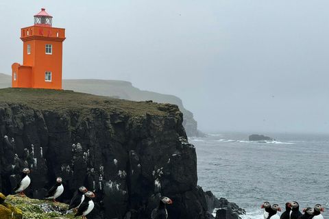 Grímsey.