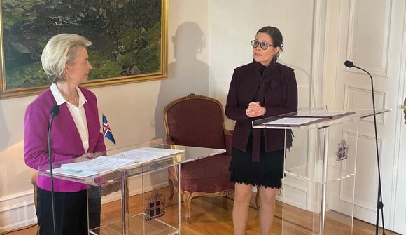 Formennska Íslendinga vel heppnuð