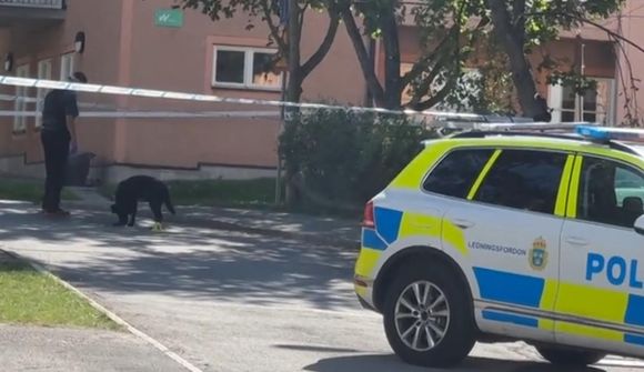 Sprengt og skotið í Svíþjóð