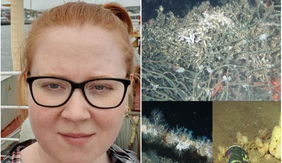 „Ekki óalgengt að veiðarfæri festist í kóral“