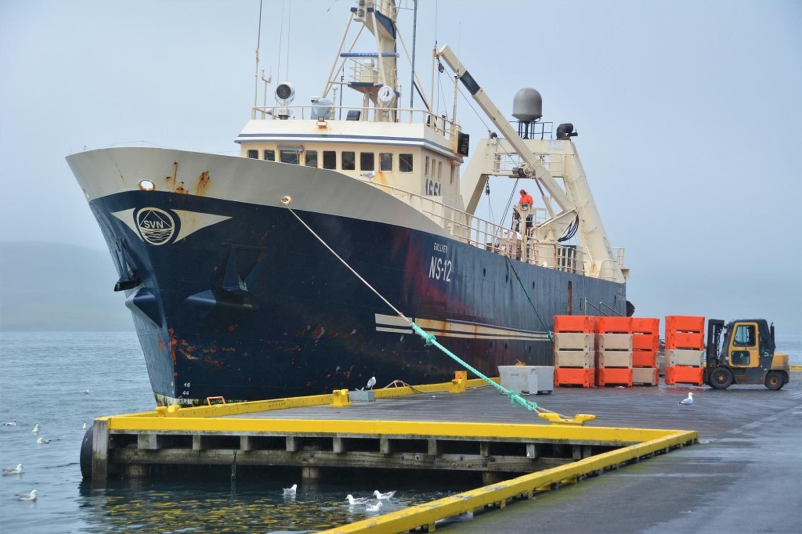 Gullver NS landaði 90 tonnum á Seyðisfirði.