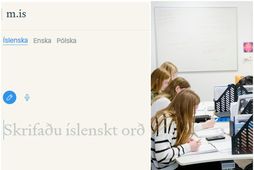 Vefurinn fékk heitið M.