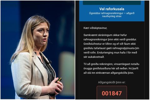 Pósturinn var sendur á viðskiptavini Veitna og HS Veitna að sögn Lovísu.