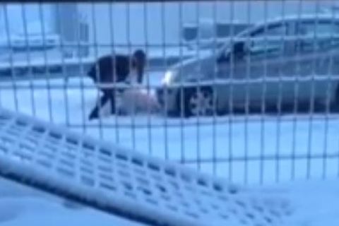 When two people push a car, it's usually a better idea to push in the same direction.